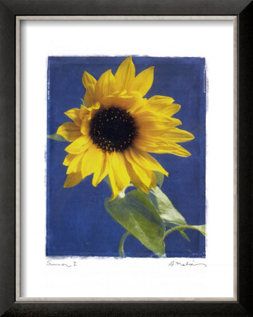 Summer I by Amy Melious Pricing Limited Edition Print image