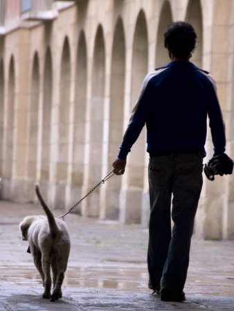 Man, Seen From Behind, Walking His Dog In The Rain By Stone Arches by Stephen Sharnoff Pricing Limited Edition Print image