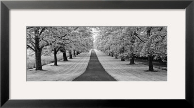 Maple Lined Road by Dennis Frates Pricing Limited Edition Print image