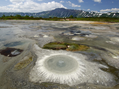 Thiobaccillus Bacteria Ring Around Hot Spring, Uzon Caldera, Kronotsky Zapovednik Reserve, Russia by Igor Shpilenok Pricing Limited Edition Print image