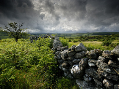 Dark Storm Clouds Above Stone Wall Near Combestone Tor, Devon, Dartmoor Np, Uk by Ross Hoddinott Pricing Limited Edition Print image