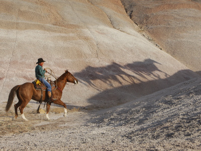 Cowboy Chasing Shadow Horses, Flitner Ranch, Shell, Wyoming, Usa by Carol Walker Pricing Limited Edition Print image