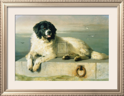A Distinguished Member Of The Humane Society by Sir Edwin Landseer Pricing Limited Edition Print image