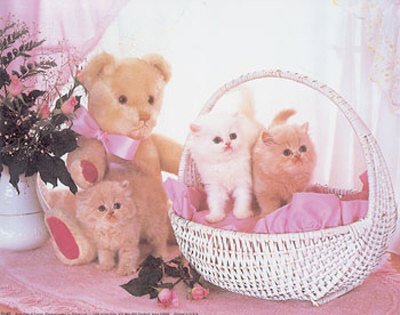 Pink Cats And Teddy by Diane Leis Pricing Limited Edition Print image