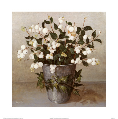 Snowberries by Galley Pricing Limited Edition Print image