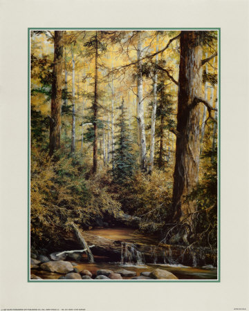 Stream In Forest by Durgin Pricing Limited Edition Print image