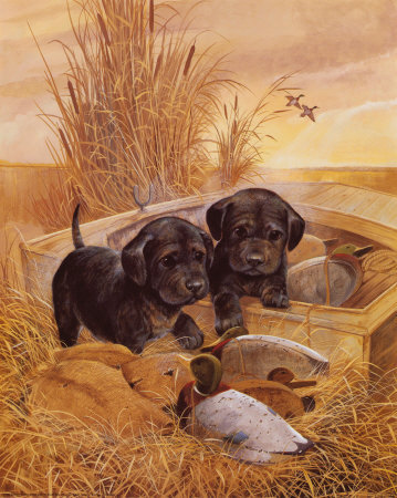 Black Lab Pups by Ruane Manning Pricing Limited Edition Print image