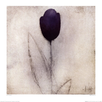 Tulip Series Xxi by Scott Olson Pricing Limited Edition Print image