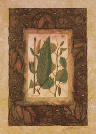 Leaf Study I by Merri Pattinian Pricing Limited Edition Print image