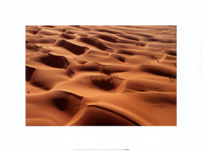 Camel Caravan by Yann Arthus-Bertrand Pricing Limited Edition Print image