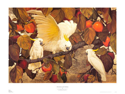 Persimmons And Cockatoos by Jessie Arms Botke Pricing Limited Edition Print image