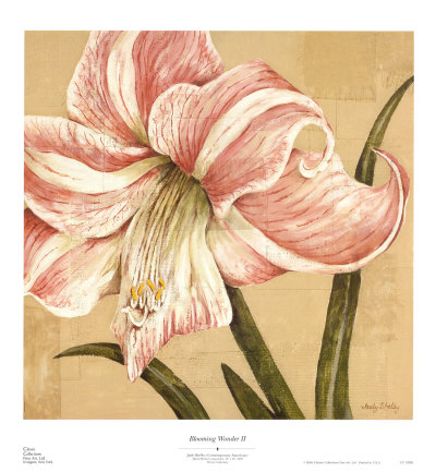 Blooming Wonder Ii by Judy Shelby Pricing Limited Edition Print image
