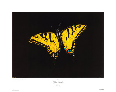 Yellow Butterfly by Revo Pricing Limited Edition Print image