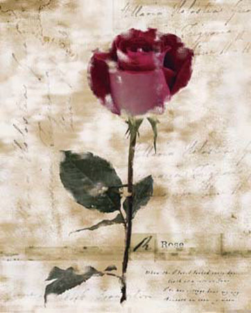 Rose Of Verona Iv by Melissa Mcgill Pricing Limited Edition Print image