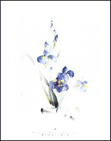 Blue Iris by Kay Stratman Pricing Limited Edition Print image