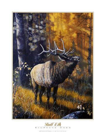Bull Elk by Michelle Mara Pricing Limited Edition Print image
