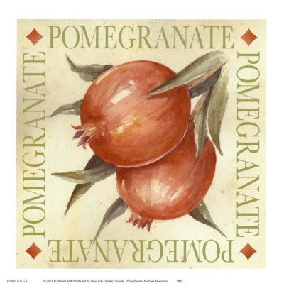 Pomegranate by Michael Alexander Pricing Limited Edition Print image