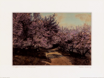 Disappearing Blossom by Wallace Nutting Pricing Limited Edition Print image