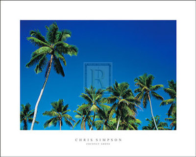 Coconut Grove by Chris Simpson Pricing Limited Edition Print image