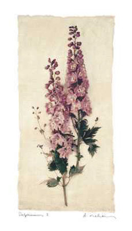 Delphinium I by Amy Melious Pricing Limited Edition Print image