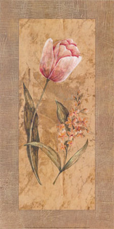 Antique Tulip by Stefania Carlini Pricing Limited Edition Print image