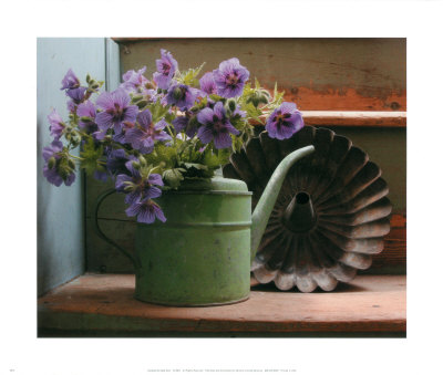 Cranesbill by Adele Gold Pricing Limited Edition Print image