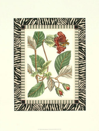 Zebra Bordered Botanical Ii by Poiret Pricing Limited Edition Print image