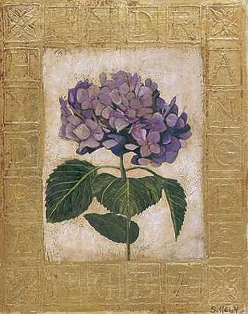 Hydrangea by Shelley Hely Pricing Limited Edition Print image