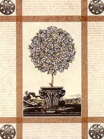 Hydrangea Topiary by Pamela Gladding Pricing Limited Edition Print image