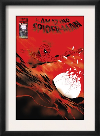 The Amazing Spider-Man #620 Cover: Spider-Man by Marcos Martin Pricing Limited Edition Print image