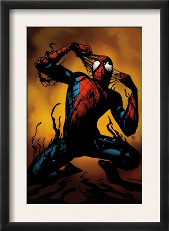 Ultimate Spider-Man #125 Cover: Spider-Man by Stuart Immonen Pricing Limited Edition Print image