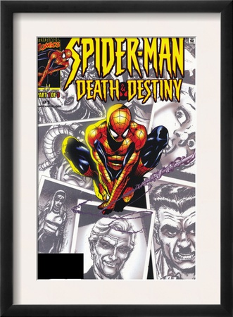 Spider-Man: Death & Destiny #1 Cover: Spider-Man by Lee Weeks Pricing Limited Edition Print image