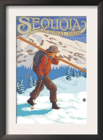 Sequoia Nat'l Park - Skier Carrying - Lp Poster, C.2009 by Lantern Press Pricing Limited Edition Print image