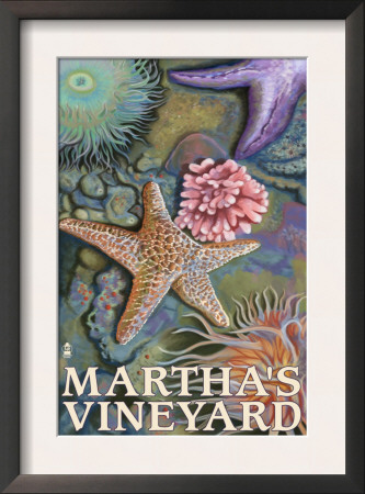 Martha's Vineyard - Tidepools, C.2009 by Lantern Press Pricing Limited Edition Print image