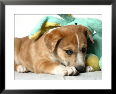 Puppy Covered With Stuffed Animal Toy by Steve Starr Pricing Limited Edition Print image