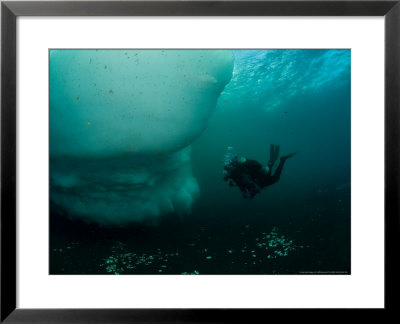 Diver Investigating Iceberg, Antarctica by Tobias Bernhard Pricing Limited Edition Print image
