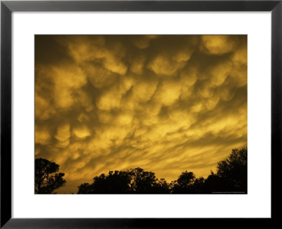 Mammatiform Clouds, Sarasota County, Usa by David M. Dennis Pricing Limited Edition Print image