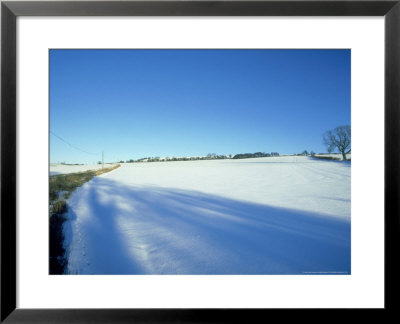 Field In Winter by Mike England Pricing Limited Edition Print image
