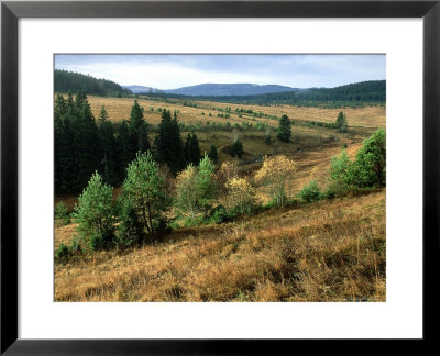 Grassland And Mountains, Czech Republic by Berndt Fischer Pricing Limited Edition Print image