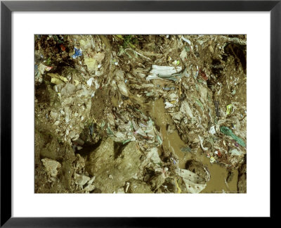 Polluted Stream, Darjeeling, India by Paul Franklin Pricing Limited Edition Print image