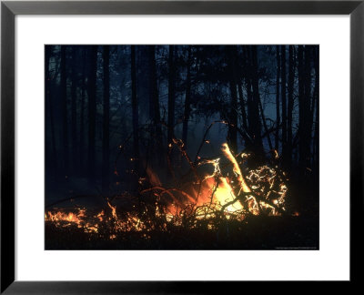 Fire, Usa by Stan Osolinski Pricing Limited Edition Print image