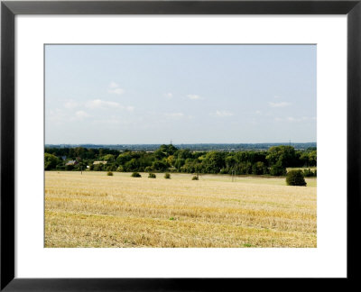 Site Of Proposed Reservoir Near Abingdon, Uk by Martin Page Pricing Limited Edition Print image