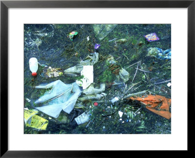 Litter In The Sea, Shetland, Scotland by Iain Sarjeant Pricing Limited Edition Print image