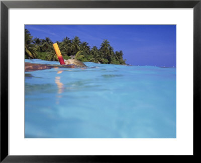 Woman Snorkeling, Maldives Islands, Indian Ocean by Angelo Cavalli Pricing Limited Edition Print image