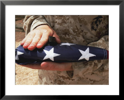 The United States Flag Is A Symbol For Independence by Stocktrek Images Pricing Limited Edition Print image