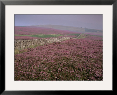 Moors Near Grinton, Yorkshire, England, United Kingdom by Michael Busselle Pricing Limited Edition Print image