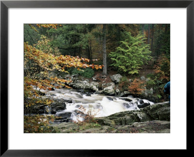 The Hermitage, Pitlochry, Tayside, Scotland, United Kingdom by Roy Rainford Pricing Limited Edition Print image