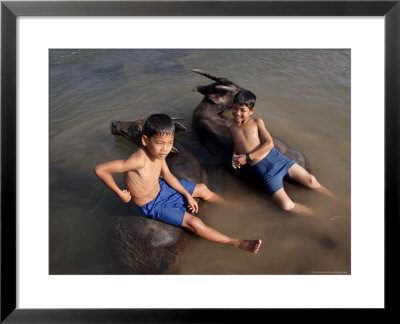 Two Boys Bathe With Their Water Buffalo In The Mekong River, Eastern Cambodia, Indochina by Andrew Mcconnell Pricing Limited Edition Print image
