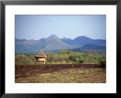 Hut In Field Near Konso Village, Omo River Region, Ethiopia by Janis Miglavs Pricing Limited Edition Print image