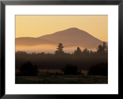 Mist And Trees At Dawn With Mt. Blue In The Distance, Northern Forest, Maine, Usa by Jerry & Marcy Monkman Pricing Limited Edition Print image